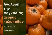 Ανάλυση τιμών της παγκόσμιας αγοράς κολοκύθας 2024-2025