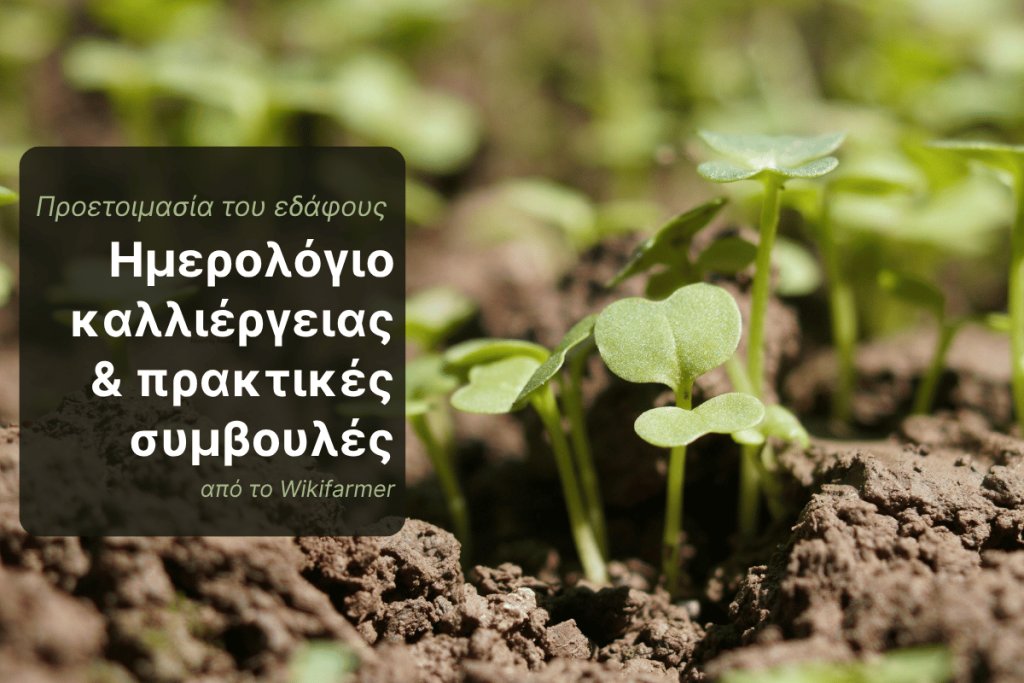 Προετοιμασία του εδάφους το φθινόπωρο για την επερχόμενη καλλιεργητική περίοδο