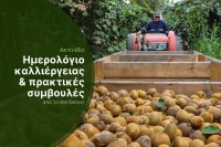 Συγκομιδή ακτινιδίου στην Ευρώπη, Καλλιεργητική περίοδος 2025/2026