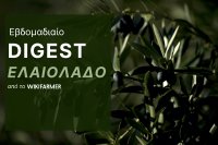 Τιμές ελαιολάδου εβδομάδα 41 Η αγορά και οι τιμές του ελαιολάδου: Εβδομάδα 41, 2025