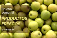 Boletín de productos frescos: semana 42