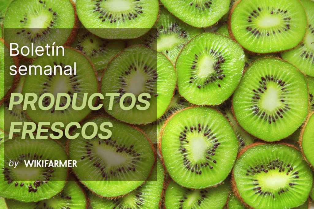 Boletín de productos frescos: Semana 43