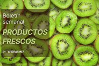 Boletín de productos frescos: Semana 43