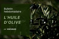 Prix de l'huile d'olive et bulletin du marché: Semaine 44