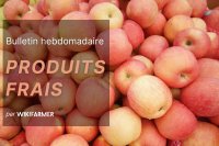 Bulletin des produits frais : Semaine 41