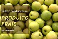 Bulletin du marché des produits frais : Semaine 42