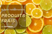 Bulletin du marché des produits frais : Semaine 44