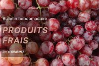 Bulletin du marché des fruits frais : Semaine 40