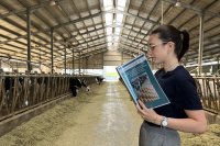 An Italian Researcher's Mission to Make Parmigiano Reggiano Production More Sustainable