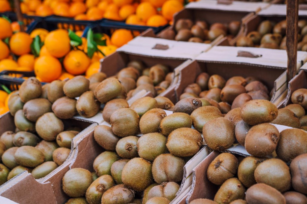 Common kiwifruit defects and their impact on grading