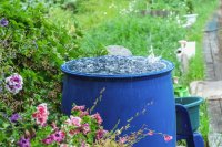 How to save water in the garden with rainwater harvesting