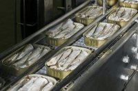 Inside the global canned fish industry