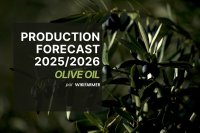 Olive Oil Production Forecast 2025/2026 Olive Oil Forecast 2025/2026