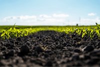 The soil microbiome as a classroom: Lessons for food security, health, and sustainability