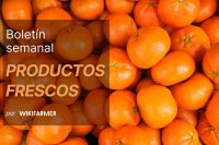 Boletín semanal de productos frescos: semana 45