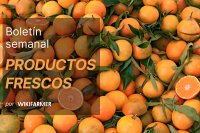 Boletín semanal de productos frescos – semana 46