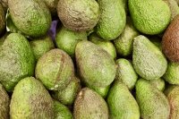 Common avocado quality defects