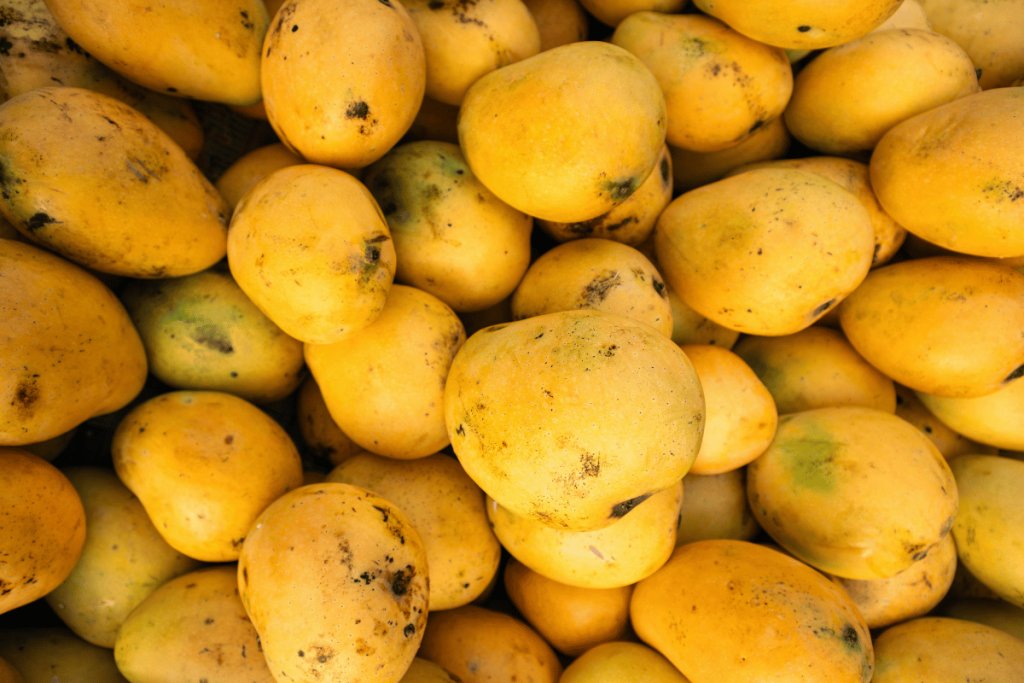 Common mango quality defects