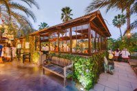 From Desert Soil to Gourmet Tables: Baja California’s Premier Organic Farm-to-Table Destination