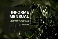 Aceite de oliva: Informe mensual – octubre 2025