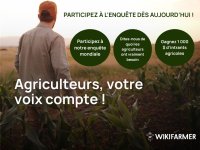 Votre voix compte : pourquoi nous lançons une enquête mondiale auprès des agriculteurs