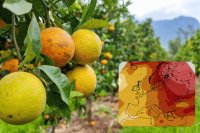 Seasonal weather forecast & agricultural outlook for Europe for the upcoming winter