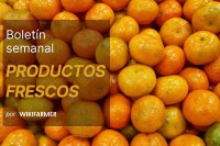Boletín del mercado de productos frescos: semana 49