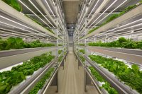 Indoor farming and the energy pivot