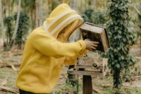 Practical beekeeping management: Essential skills for successful apiculture