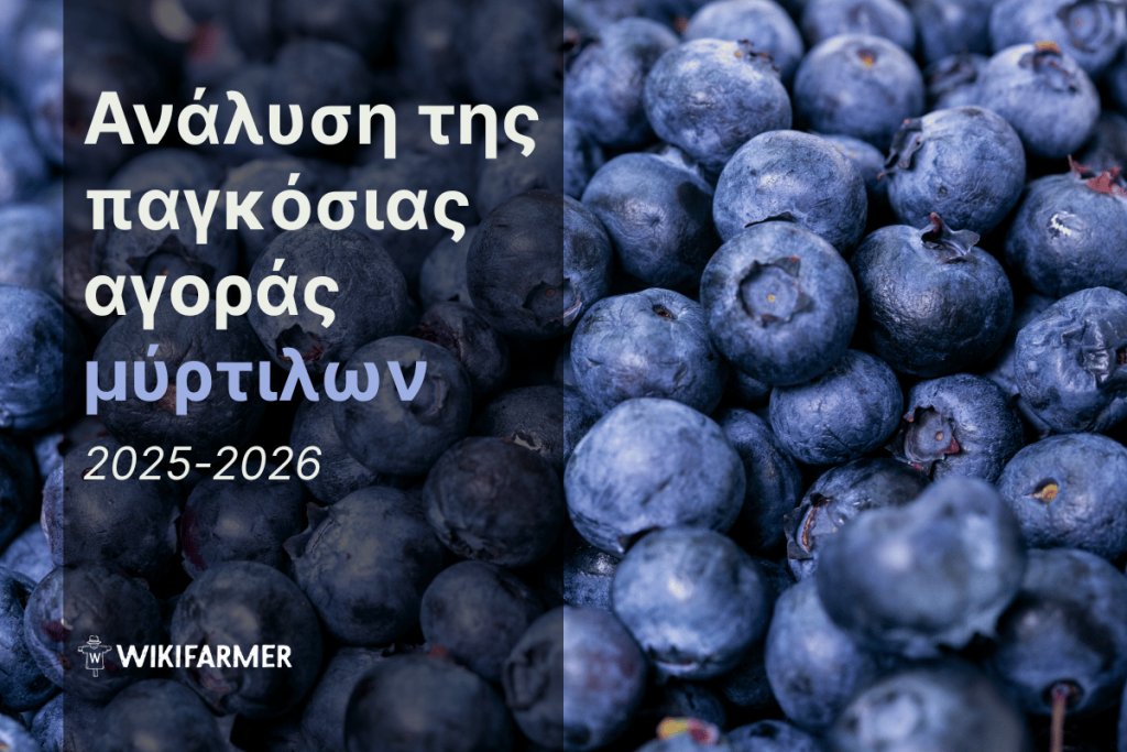 Ανάλυση των τιμών και της παγκόσμιας αγοράς μύρτιλων