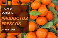 Boletín del mercado de frescos: Semana 4 de 2026