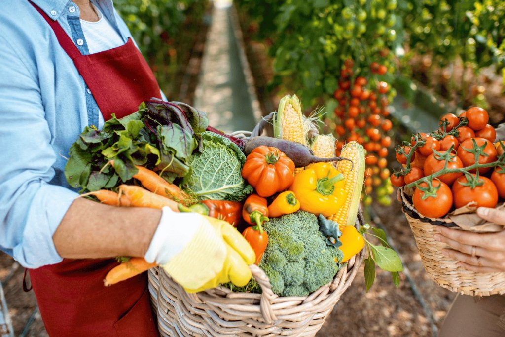 How agriculture can restore nutrient density in modern crops
