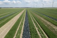 Strip cropping frontrunners in the Netherlands: Why and how are they making the switch