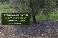 Ιανουάριος 2026 Πτώση παραγωγής ελαιολάδου λόγω κακοκαιρίας Ιανουάριος 2026: Πτώση παραγωγής ελαιολάδου λόγω κακοκαιρίας