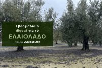 Η περιορισμένη διαθεσιμότητα αυξάνει τις τιμές στο έξτρα παρθένο ελαιόλαδο