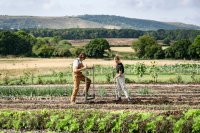 3 million European farms disappeared in the last decade