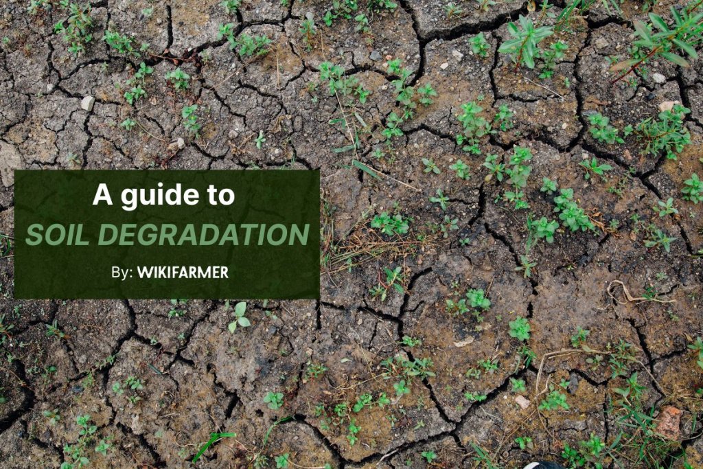 What is soil degradation?