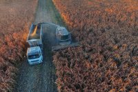 AMBROSIA: Rethinking food safety in a changing climate