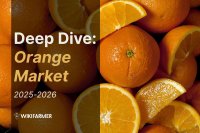 A Deep Dive into the Global Orange Market