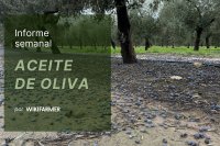 Los precios del aceite de oliva suben en España ante las fuertes lluvias que reducen la oferta de AOVE
