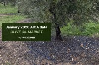 January 2026 AICA data olive oil market January AICA data shows olive oil production plummets amid severe weather