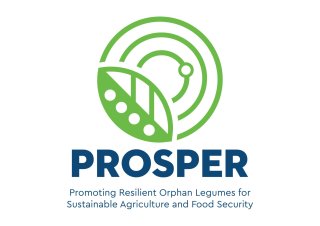 PROSPER Project