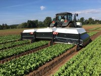 Robotic spraying of weeds in potato and volunteer potatoes in Denmark & Switzerland