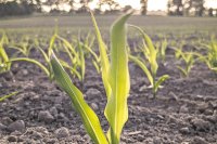 This spring will test European farmers under the warmest outlook in years