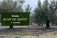 Rains and low supply drive olive oil market tension, prices rise