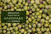 Ισπανία προς τα 1,2 εκατ. τόνους ελαιολάδου – Η αγορά στα φυτικά έλαια