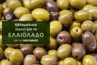 Περιορισμένες συναλλαγές και σταθερές τιμές στην αγορά ελαιολάδου της Μεσογείου