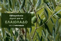 Η αγορά ελαιολάδου σε φάση αναμονής πριν το Πάσχα