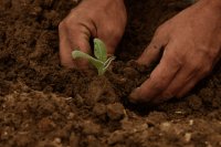 10 essential stages of transitioning to regenerative agriculture