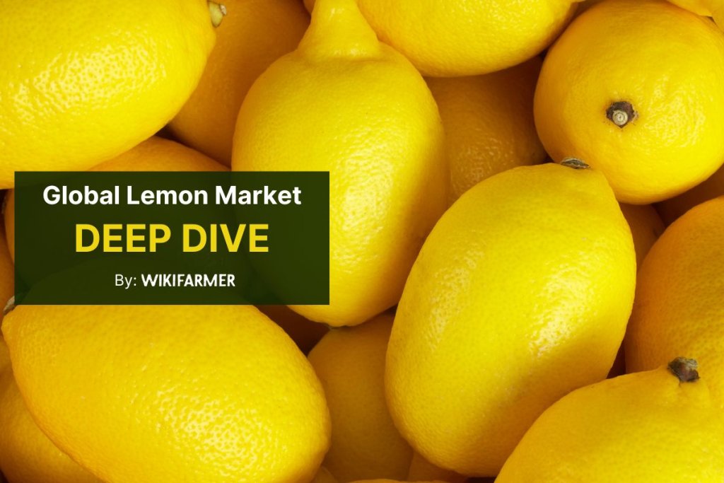 A deep dive into the global lemon market